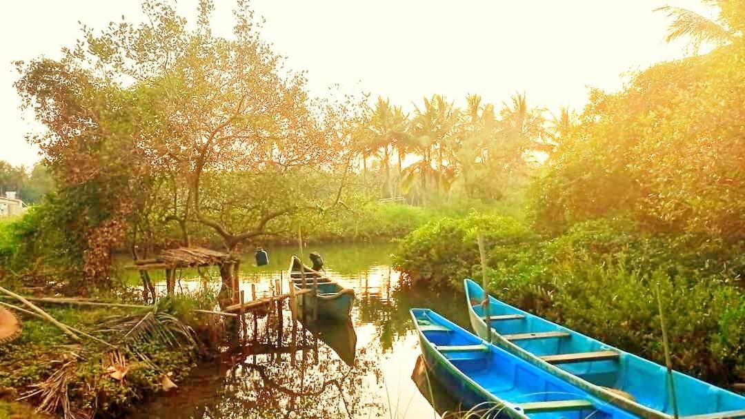 Shruthi'S Aarohi-Nature'S Retreat Mulappilangad ภายนอก รูปภาพ