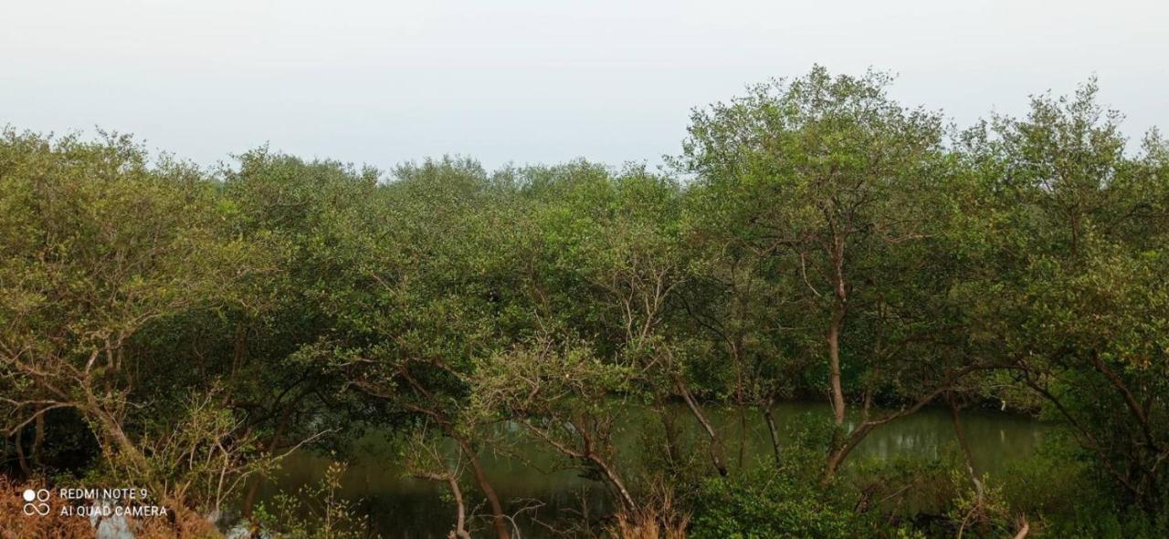 Shruthi'S Aarohi-Nature'S Retreat Mulappilangad ภายนอก รูปภาพ
