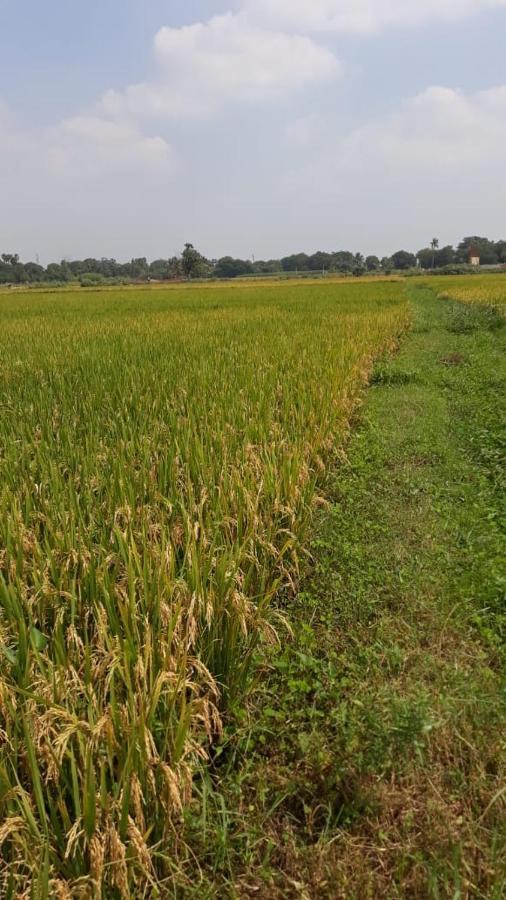 Shruthi'S Aarohi-Nature'S Retreat Mulappilangad ภายนอก รูปภาพ