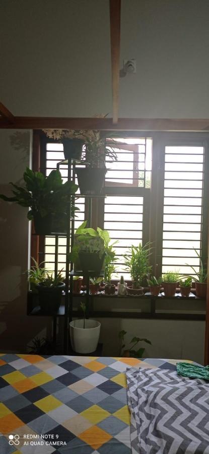 Shruthi'S Aarohi-Nature'S Retreat Mulappilangad ภายนอก รูปภาพ