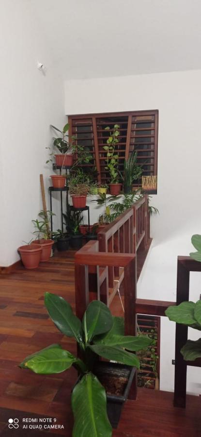 Shruthi'S Aarohi-Nature'S Retreat Mulappilangad ภายนอก รูปภาพ
