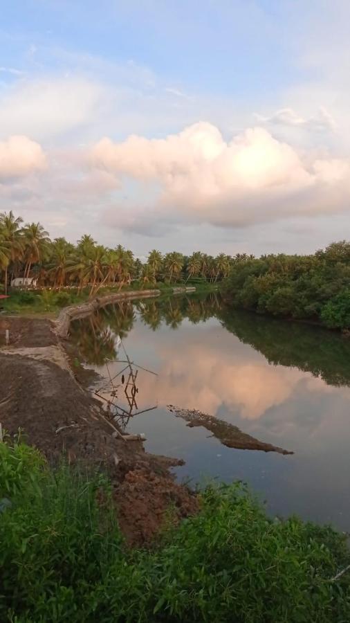 Shruthi'S Aarohi-Nature'S Retreat Mulappilangad ภายนอก รูปภาพ