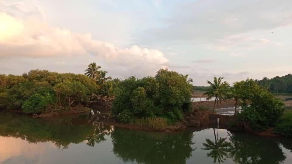 Shruthi'S Aarohi-Nature'S Retreat Mulappilangad ภายนอก รูปภาพ